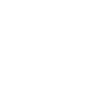 tigre logo